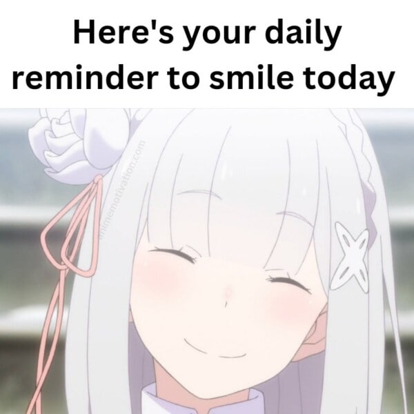 emilia smiling rezero reminder