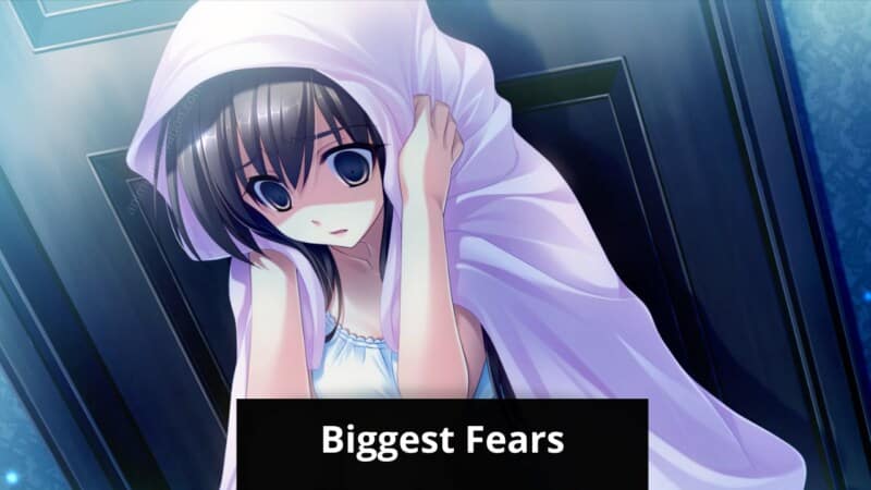 biggest fears anime fans have