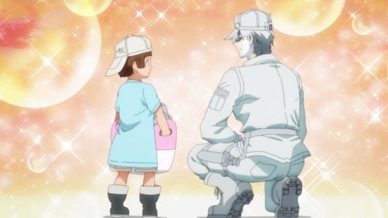 Cells At Work white blood cell and platelets kawaii