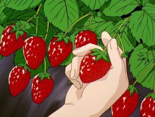 anime fruit strawberry
