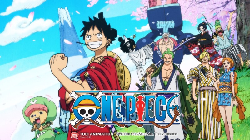 One Piece franchise luffy