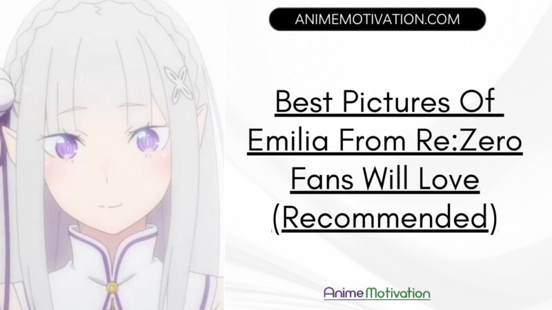 Best Pictures Of Emilia From Rezero Fans Will Love (recommended)