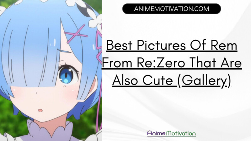 Best Pictures Of Rem From Rezero That Are Also Cute (gallery)