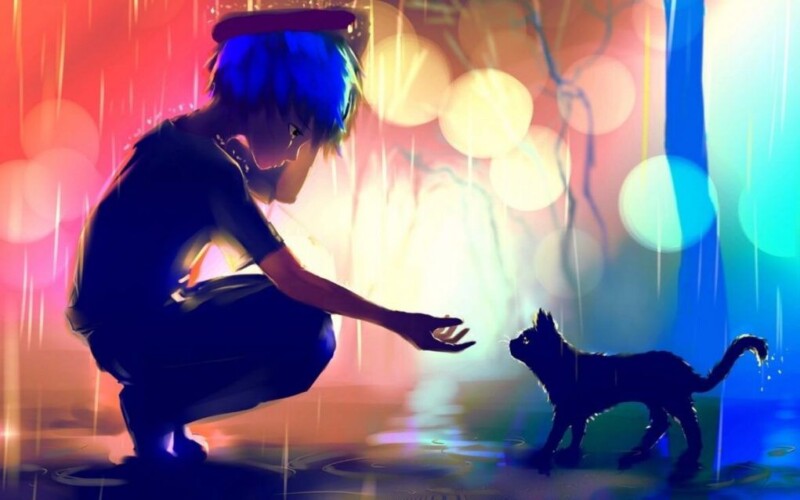 anime introvert boy wallpaper rain cat art