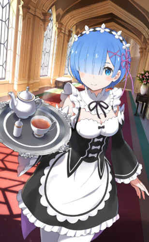 re zero images rem and others 238
