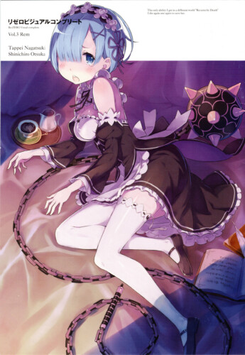 re zero images rem and others 333