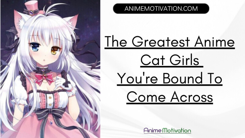 The Greatest Anime Cat Girls Youre Bound To Come Across