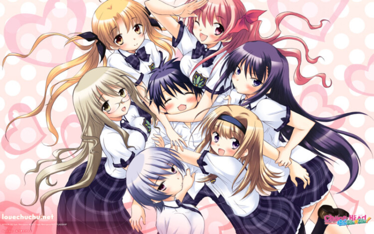 23+ BEST Harem Anime with Overpowered MC (RECOMMENDATIONS)