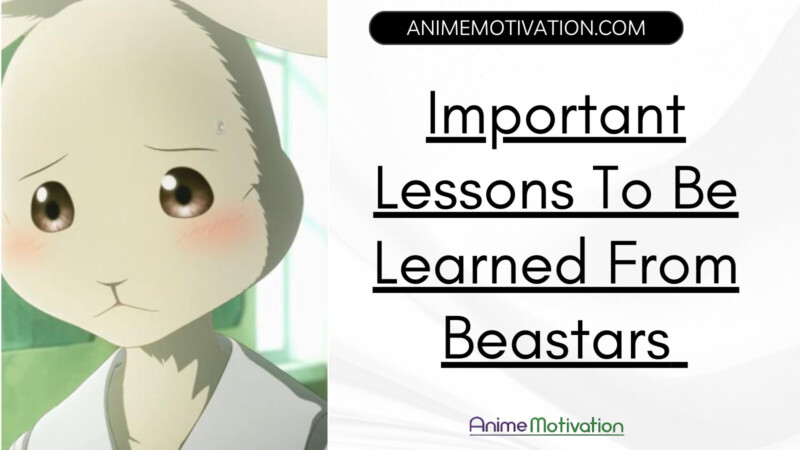 Important Lessons To Be Learned From Beastars That Go Deep
