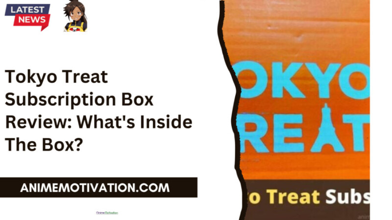 Tokyo Treat Subscription Box Review What's Inside The Box