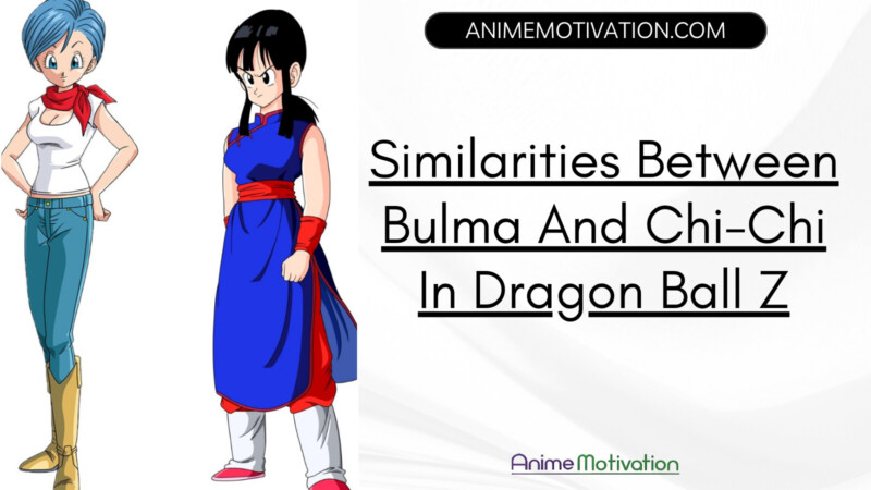 Untold Similarities Between Bulma And Chi Chi In Dragon Ball Z