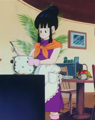 Bulma And Chichi Images (1)