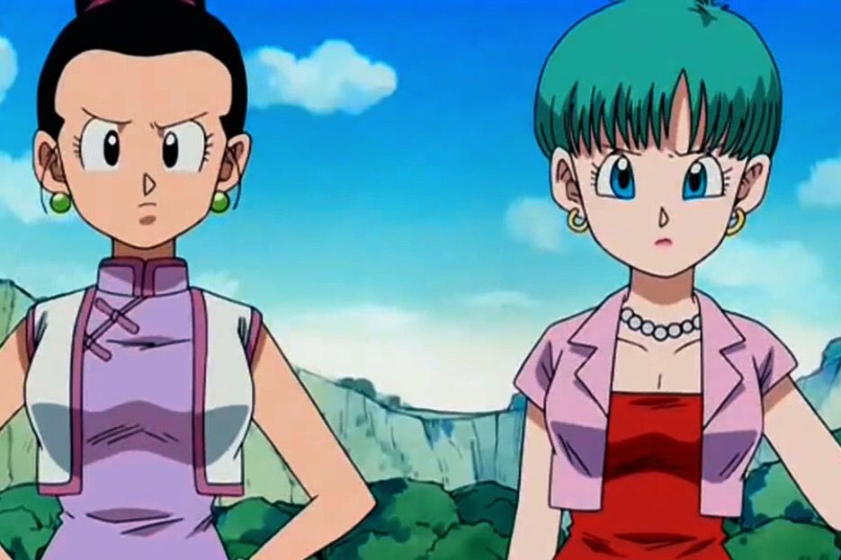Bulma And Chichi Images (2)