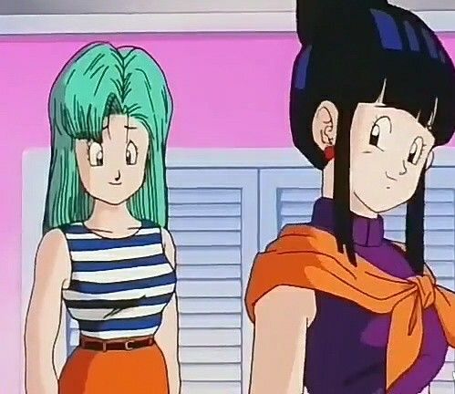 Bulma And Chichi Images (3)