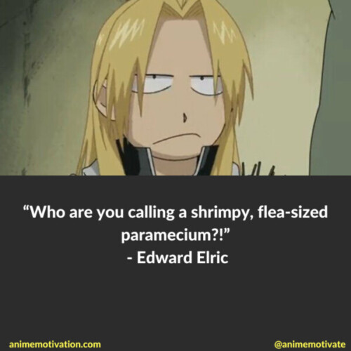 Edward Elric Quotes Fullmetal Alchemist Anime (8)