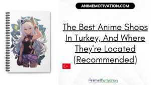 The Best Anime Shops In Turkey, And Where They're Located (Recommended)