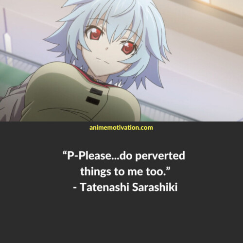 Tatenashi Sarashiki Quotes Infinite Stratos (1)