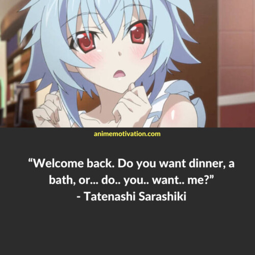 Tatenashi Sarashiki Quotes Infinite Stratos